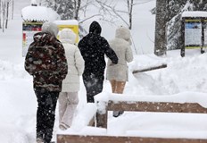 Съединените щати и Канада са в плен на арктически студВ