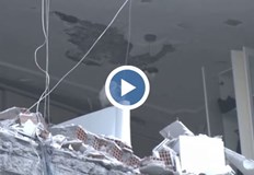 Домашният любимец е видян от работници минути преди детонациятаВ Турция