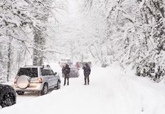 Натежало от сняг дърво падна върху кола загина 14 годишно момче14 годишно