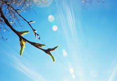 На много места обаче ще духа силен вятърНетипично за февруари