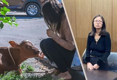 Алиша Дей е била забелязана да разхожда теле и прасе