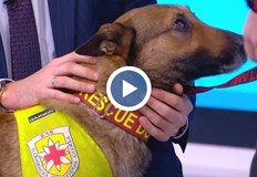 Седем души са спасени благодарение на нашите екипи в зоната