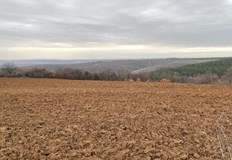 Търсенето е голямо но няма предлаганеКак се движат цените на