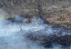 Гасенето е изключително трудно заради поривистия ураганен вятърС единадесет пожара