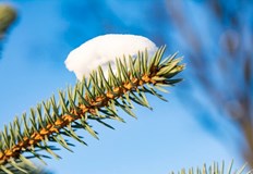 От вторник до петък температурите ще се понижаватВ почивните дни