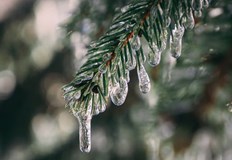 Температурите падат до минус 12 градусаЗимата ще демонстрира силата си