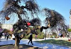 В Русе ще бъде слънчево с максимална температура 11°СПрез нощта