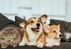 Домакин на благотворителното събитие е Екомузеят с аквариум към Регионален