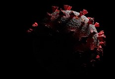 Поставени са 9 дози ваксина в странатаВ Русенско новозаразените с