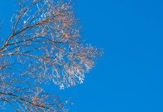 През следващите дни предстои затоплянеМинималните температури ще бъдат в широки