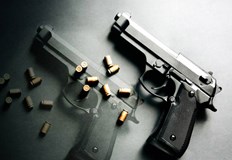 Издадени са 289 броя разрешения за износ и трансфер на