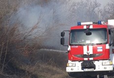 Паднало дърво върху платно по пътя за село Щръклево и