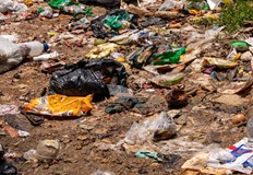 РИОСВ Русе ще упражни контрол по спазване на тези предписания от