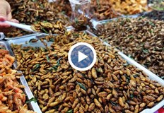 Насекомите съдържат определени хранителни вещества но също се предполага че