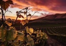 Всеки българин може да избере кой от тях да честваНа