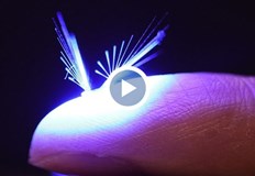 Създадоха лек като глухарче робот Фея за помощ в опрашването