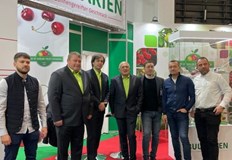 Секторът е застрашен от рецесия и точно в такива моменти