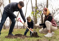 Не забравяйте че трябва да го поливате през първите две