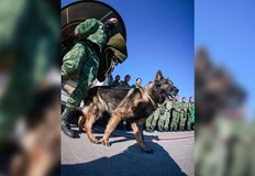 Треньорът на Протео публикува видео посветено на неговия партньор наричайки