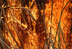 През изминалото денонощие огнеборци са гасили пожар в село ЧилновДва