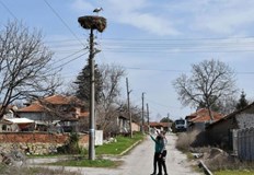 Щъркел долетя в село ПодкрепаПървият за сезона щъркел долетя тази