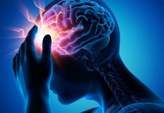 Активирането на протеина GLAST има защитен ефект при исхемичен инсулт