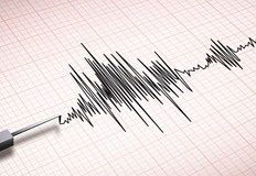 Трусът е бил усетен силно и много местни жители са