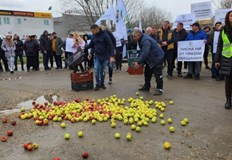Това е само един от десетките лозунги които днес недоволни