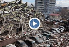 Властите в страната успокояват че няма риск от епидемия от