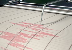 До момента няма данни земетресението да е усетено на територията