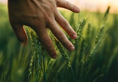 Невъзможно е стопаните да се справят с положението без субсидии