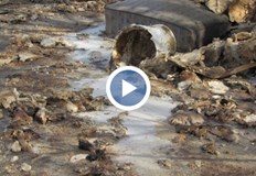 Община Русе и РИОСВ започват проверкиСигнал за нерегламентирано изхвърляне на