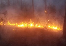 Някои от огнищата са в труднодостъпни местности и настъпването на