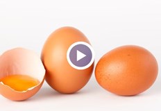 Как да направим домашна майонеза но без скъпата съставка в