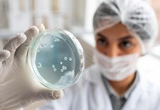 През последните 24 часа са поставени 87 ваксини 81 са новите