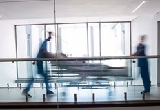 Броят им е по голям спрямо предходните две годиниБлизо 10 800