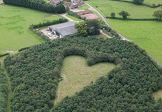 Той започва да работи по ливадата си преди десетилетия когато