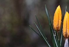 Максималните температури ще са между 6° и 11°През нощта ще