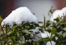 Разваляне на времето се очаква от четвъртъкТази седмична прогноза можем