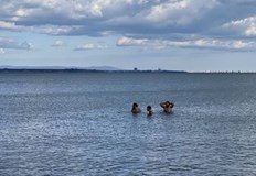 Необичайно топло време зарадва жителите на БургасБургазлии се изкъпаха в