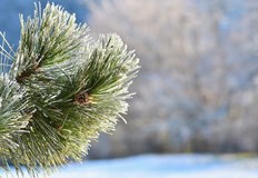 В дните около средата на февруари времето ще се задържи