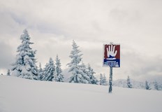 Жертва на метереологичните условия е станал 17 годишен новозеландецЛавини в Австрия