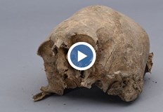 Директорът на РИМ Стара Загора Петър Калчев смята че