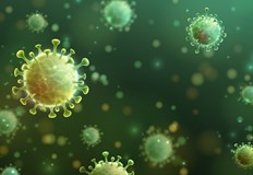 48 са новите случаи на коронавирус у насНаправени са 2806