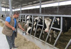 Печалбата остава в някого В мътна вода се лови риба