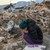 90 вторични труса след вчерашното земетресение в Хатай