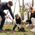 Община Русе припомня правилата за засаждане на дръвчета