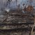 Огнена стихия изпепели 30 декара борова гора в Хисарско