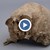 Върнаха череп, откраднат от археологически разкопки