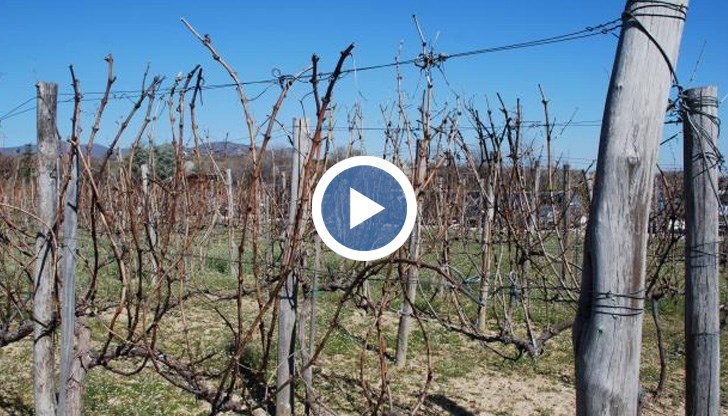 Според стопаните държавата нехае